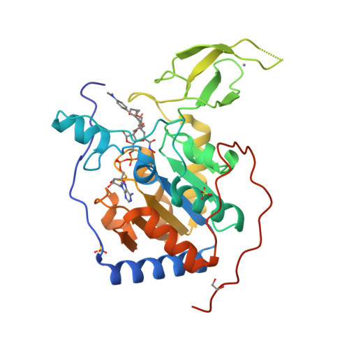 RCSB PDB - 6HOY: Human Sirt6 in complex with ADP-ribose and the ...