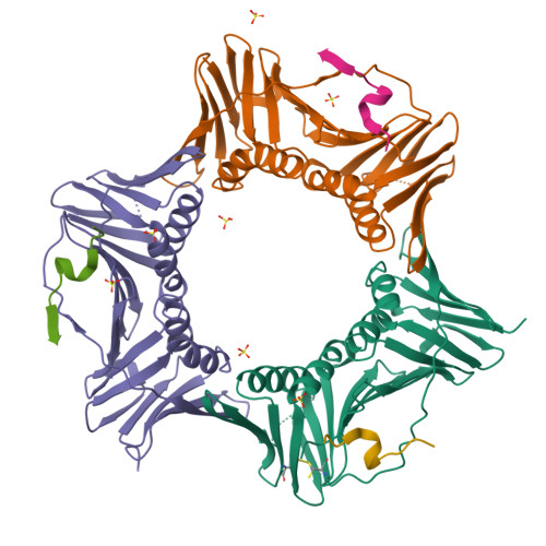 PDB 6HVO