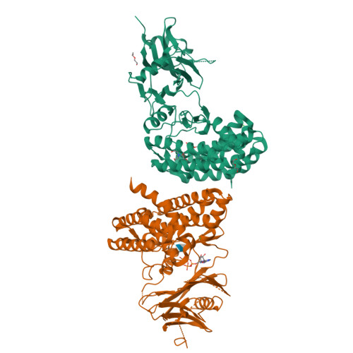 RCSB PDB 6HWL Glucosamine kinase in complex with glucosamine, ADP