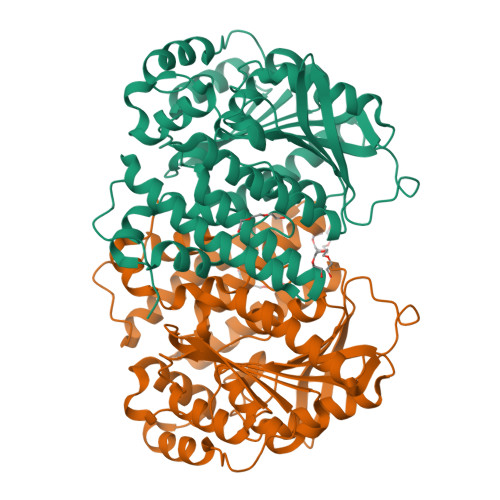 structure of shortening