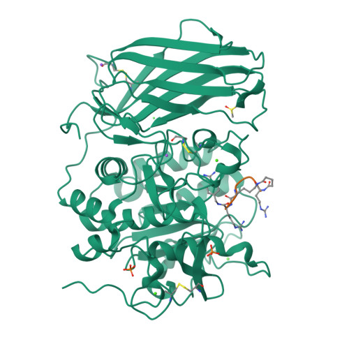 RCSB PDB - 6HZD: X-ray structure of furin in complex with the