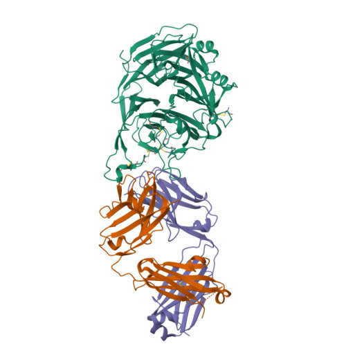 Sema Domain RCSB PDB - 6I04: Crystal structure of Sema domain of the Met receptor ...
