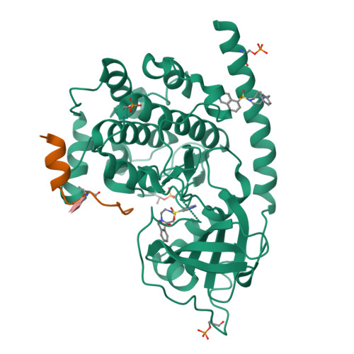 RCSB PDB - 6I2B: Crystal Structure of the Protein-Kinase A catalytic ...