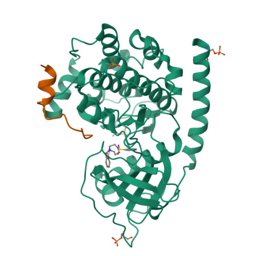 RCSB PDB - 6I2D: Crystal Structure of the Protein-Kinase A catalytic ...