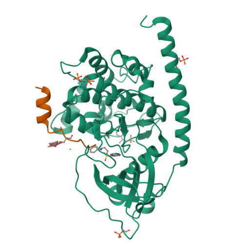 RCSB PDB - 6I2H: Crystal Structure of the Protein-Kinase A catalytic ...