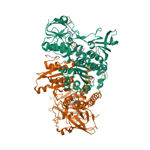 RCSB PDB - 4V83: Crystal structure of a complex containing domain