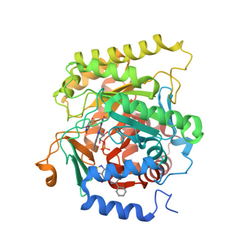 Dihydroorotate dehydrogenase structure