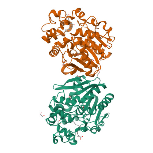 Terminal Epoxide RCSB PDB - 6I5G: X-ray structure of human soluble Epoxide Hydrolase C ...