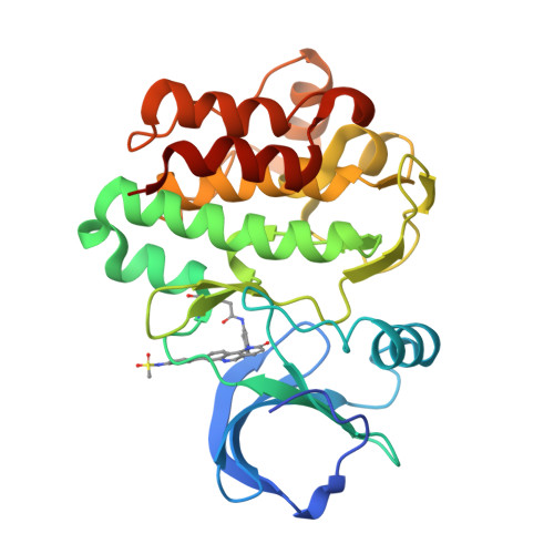 RCSB PDB - 6I99: Bone Marrow Tyrosine Kinase in Chromosome X in complex ...