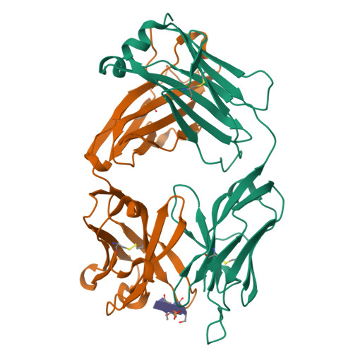 RCSB PDB - 6IDG: antibody 64M-5 Fab in complex with dT(6-4)T
