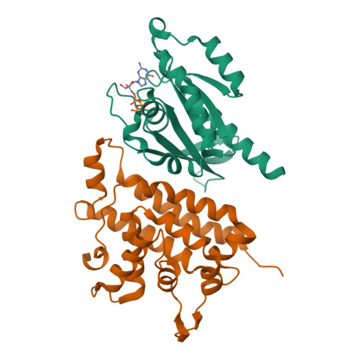 PDB 6IF2