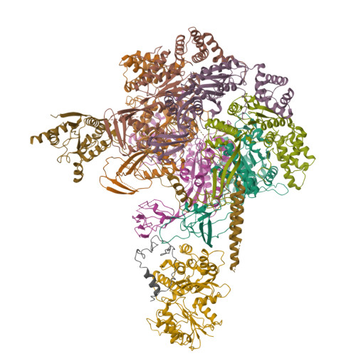 PDB 6IGM
