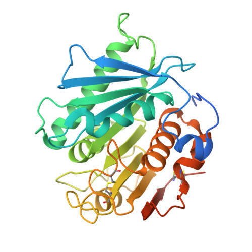 Petase Structure RCSB PDB - 6IJ4: Crystal structure of PETase S121E, D186H mutant from ...