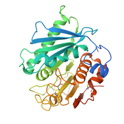 Petase Structure RCSB PDB - 6IJ6: Crystal structure of PETase S121E, D186H, R280A mutant ...