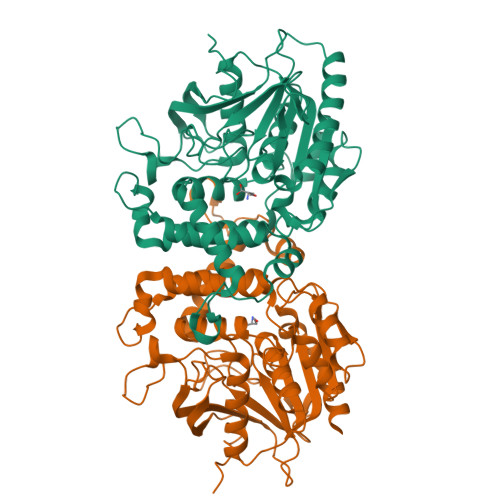 RCSB PDB - 6IOH: Crystal structure of Homoserine O-acetyltransferase in ...