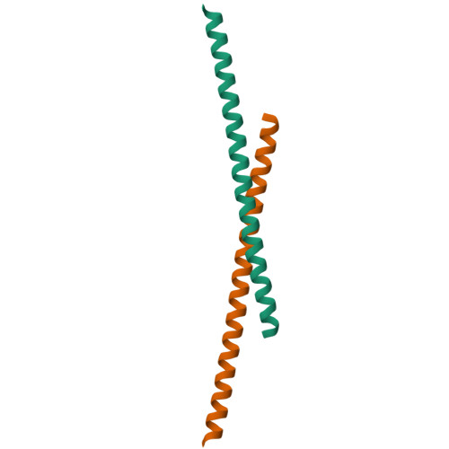 PDB 6IQE