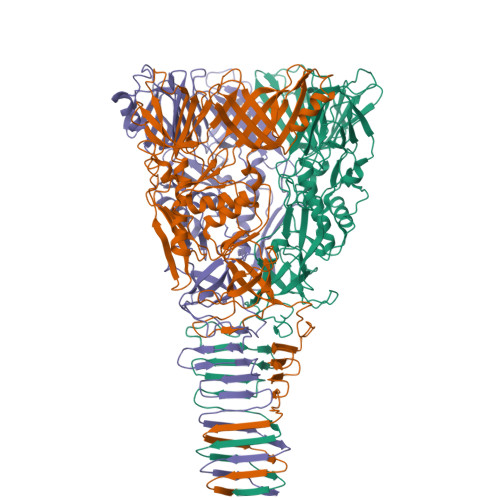 RCSB PDB - 6J0M: Cryo-EM Structure of an Extracellular Contractile ...