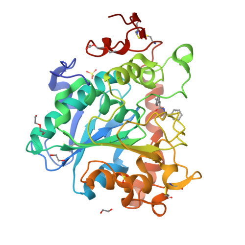 RCSB PDB - 6J1T: Crystal Structure Of Candida Antarctica Lipase B ...