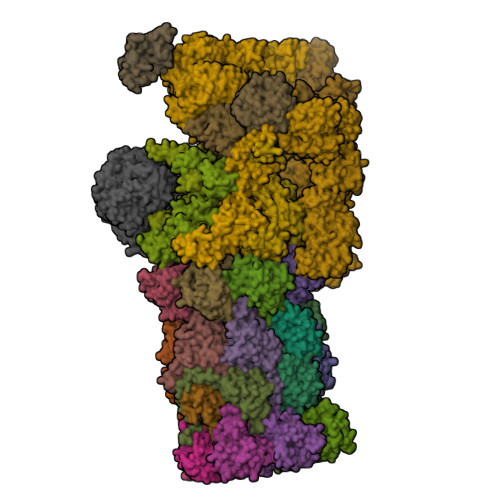 RCSB PDB - 6J30: yeast proteasome in Ub-engaged state (C2)