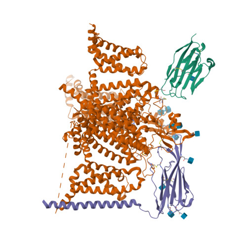 ナポレオンヒル PMAプログラム 『PMA Ⅰ』　SSI Group Structural and dynamic insights into the activation of the μ