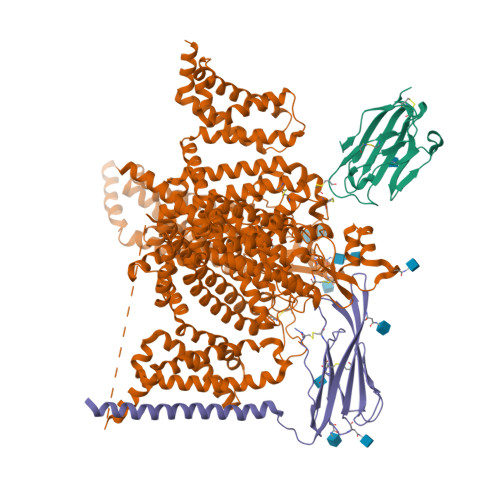 RCSB PDB - 6J8I: Structure of human voltage-gated sodium