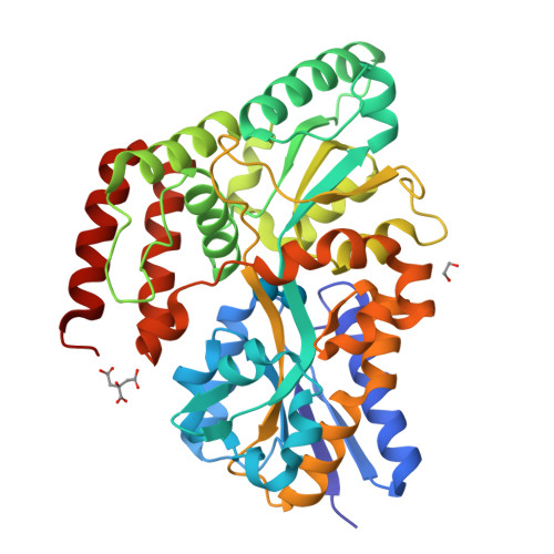 RCSB PDB - 6J9W: Crystal structure of ABC transporter alpha-glycoside ...