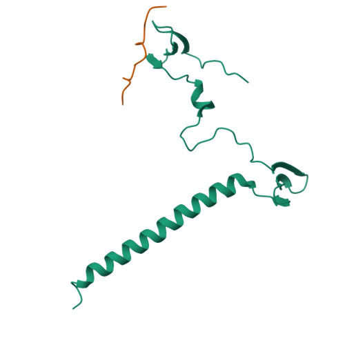 PDB 6JJX