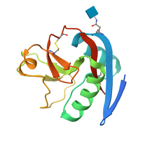 Secretory phospholipase A2 receptor structure