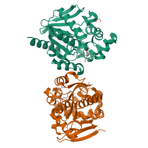 RCSB PDB - 6JR2: ZHD/H242A complex with aZOL