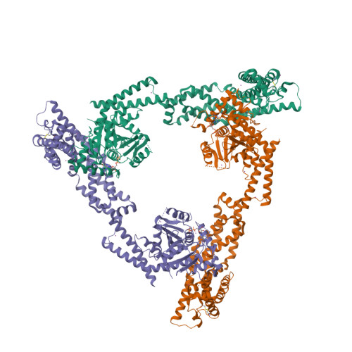 RCSB PDB - 6JSJ: Structural analysis of a trimeric assembly of the ...
