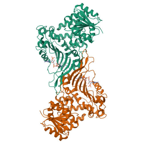 RCSB PDB - 6JYU: Crystal structure of Human G6PD Canton