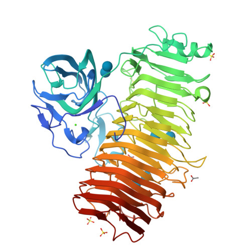 RCSB PDB - 6K0P: Catalytic domain of GH87 alpha-1,3-glucanase D1045A in ...