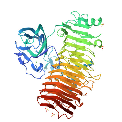 RCSB PDB - 6K0U: Catalytic domain of GH87 alpha-1,3-glucanase D1068A in ...