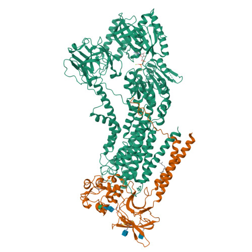 RCSB PDB - 6K7K: Cryo-EM structure of the human P4-type flippase 