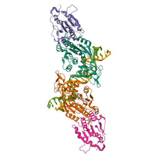 RCSB PDB - 6KDB: Crystal Structure Of Human DNMT3B-DNMT3L In Complex ...