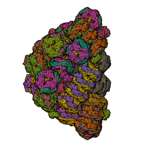 RCSB PDB - 6KGX: Structure of the phycobilisome from the red alga