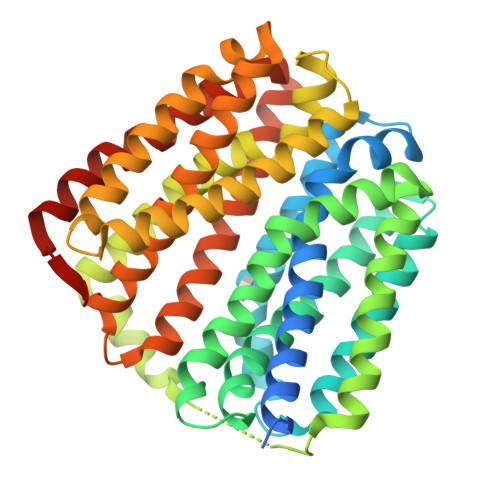 RCSB PDB - 6KKK: Crystal structure of Drug:Proton Antiporter-1 (DHA1 ...