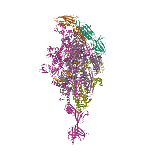 RCSB PDB - 6KQE: Thermus thermophilus initial transcription complex ...