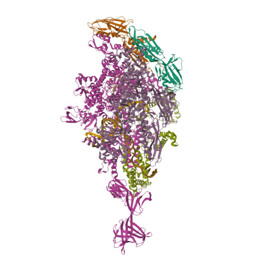 RCSB PDB - 6KQE: Thermus thermophilus initial transcription complex ...