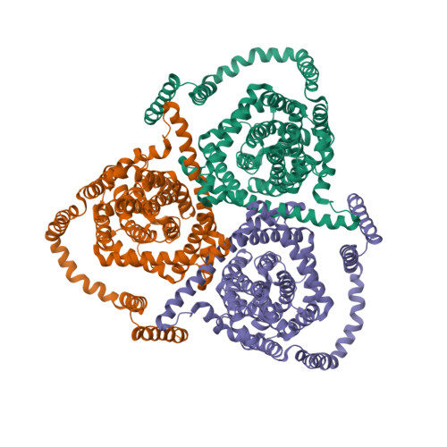 RCSB PDB - 6KSW: Cryo-EM structure of the human concentrative ...