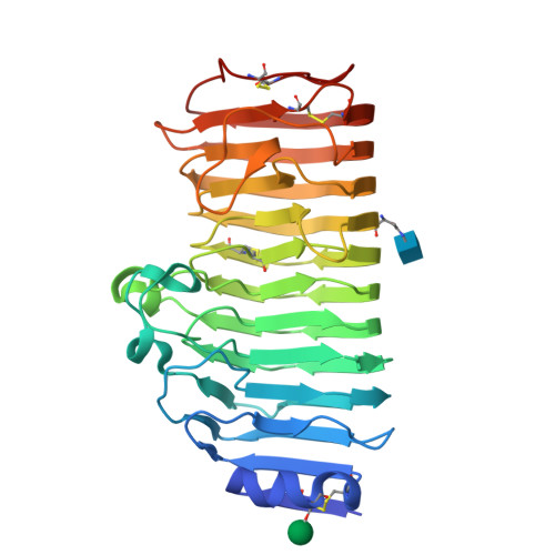 RCSB PDB - 6KVH: The mutant crystal structure of endo-polygalacturonase ...