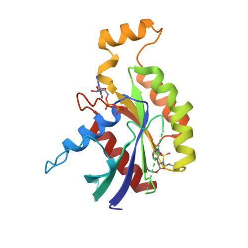 RCSB PDB - 6KX3: Crystal structure of RhoA protein with covalent ...