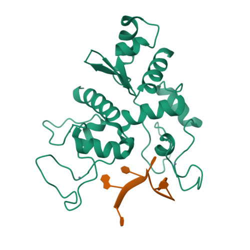 Rcsb Pdb 6l1w Zinc Finger Antiviral Protein Zap Bound To Rna