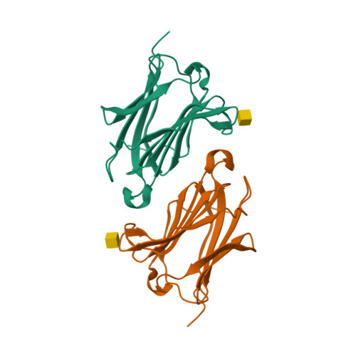 RCSB PDB - 6L6D: X-ray Structure Of Human Galectin-10 In Complex With D ...