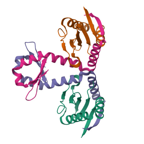 Rcsb Pdb 6l8f Crystal Structure Of Heterotetrameric Complex Of Yoeb Yefm Toxin Antitoxin From