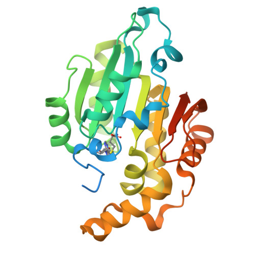 RNA 5'-monophosphate methyltransferase structure