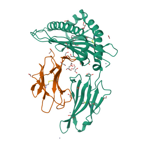 RCSB PDB - 6LB2: Crystal structure of rhesus macaque MHC class I ...