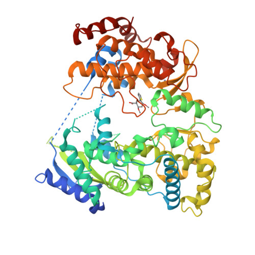 RCSB PDB - 6LD2: Zika NS5 polymerase domain