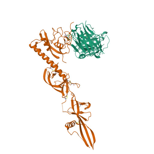 RCSB PDB - 6LGW: Structure of Rabies virus glycoprotein in complex with ...