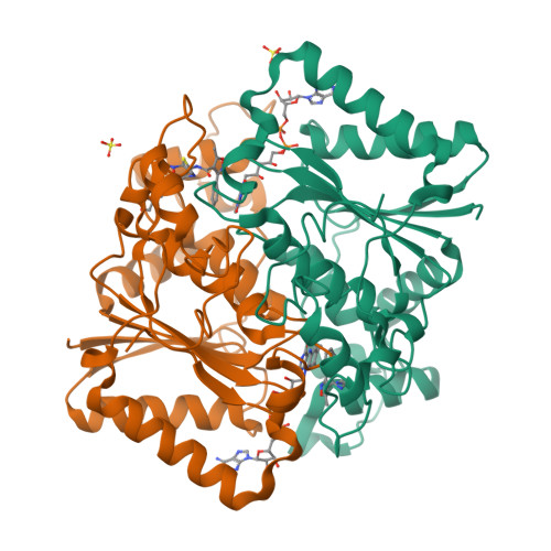 Rcsb Pdb Llc Discovery Of A Dual Inhibitor Of Nqo And Gstp For